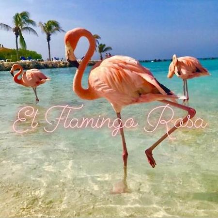 Casa Vacanze El Flamingo Rosa Cod Iun P5386 Iglesias Extérieur photo
